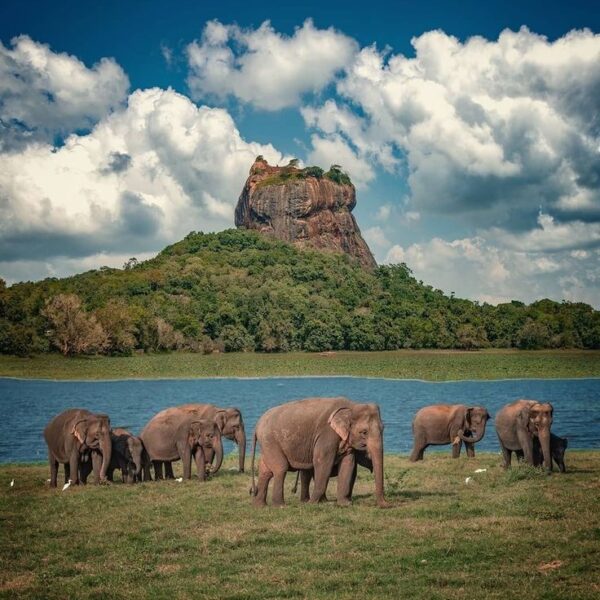 Sigiriya View