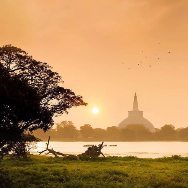 Anuradhapura Ancient City